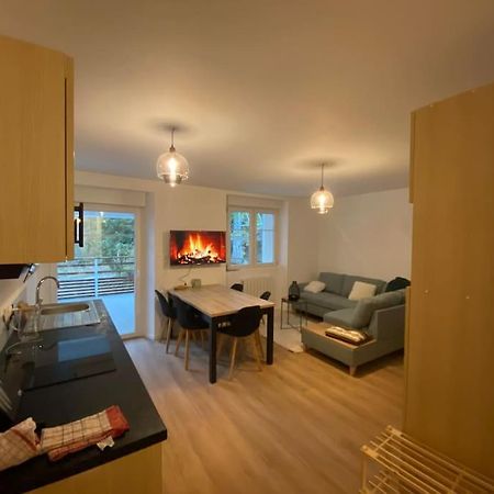Appartement Chaleureux Au Pied Des Pistes Orbey Kültér fotó