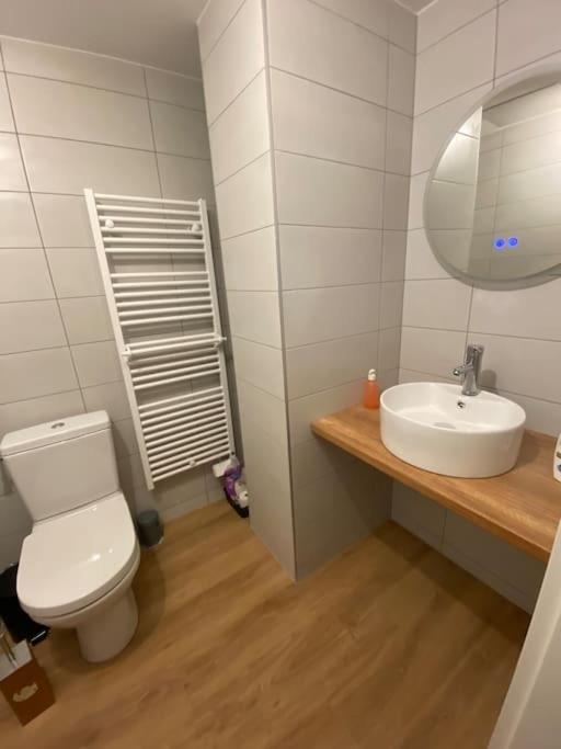 Appartement Chaleureux Au Pied Des Pistes Orbey Kültér fotó
